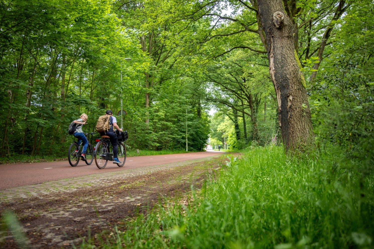 F270 Eindhoven – Helmond | snelfietsroute