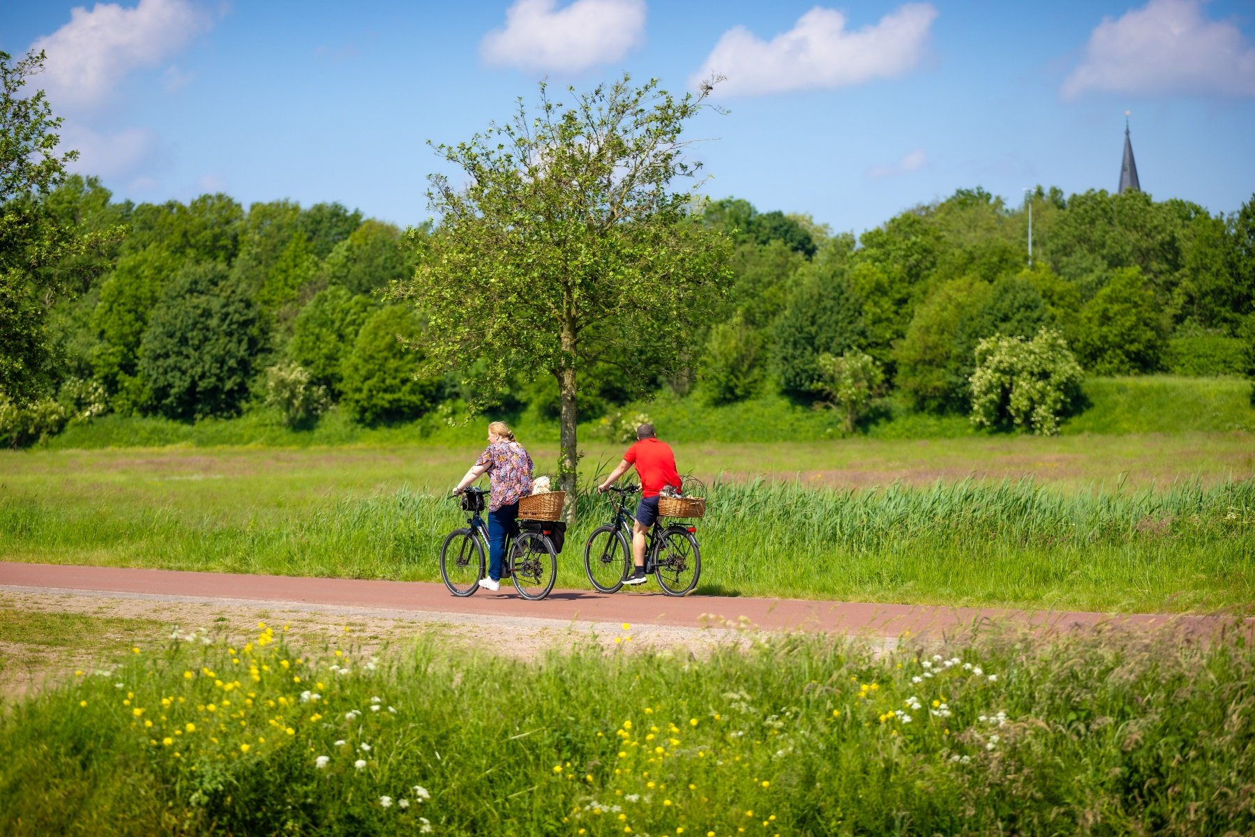 F59 Waalwijk - ’s-Hertogenbosch | snelfietsroute
